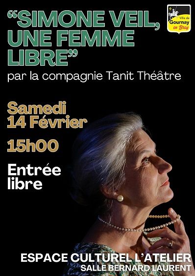 affiche Simone Veil