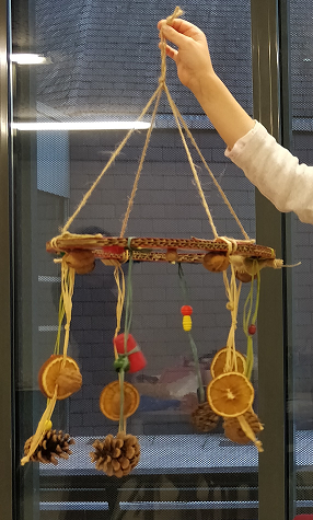 photo automne 1 copy copy copy copy copy